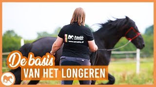 Hoe longeer je een paard [upl. by Bianchi665]