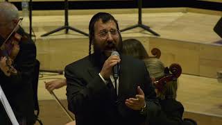 Niggun Haneshamot  Chazan Israel Nachman Northern Chamber Orchestra [upl. by Ollopa]