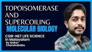 TOPOISOMERASE AND SUPERCOILING  MOLECULAR BIOLOGY  CSIR NET LIFE SCIENCE in Malayalam [upl. by Azaleah]