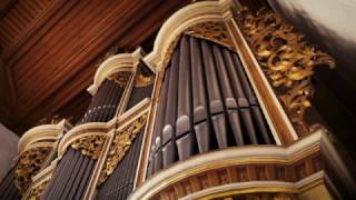 THE PASSACAGLIA OF BACH ON THE SILBERMANN ORGAN IN RÖTHA  XAVER VARNUS [upl. by Ellerehc]