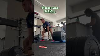 WINTER ARC PT21 stacco sumo 3x210kg fitness palestra staccodaterra [upl. by Di163]