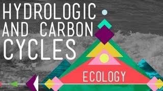 The Hydrologic and Carbon Cycles Always Recycle  Crash Course Ecology 8 [upl. by Rosenkranz]