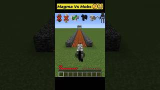 Minecraft Mobs Vs Magma shorts minecraft viralvideo [upl. by Atselec]