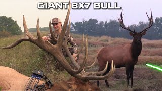 GIANT 349quot HERD BULL  Archery Elk in ALBERTA [upl. by Ngo353]