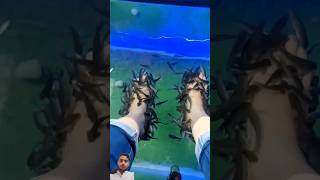 Always never get fish pedicure facts subscribe [upl. by Jarrett]