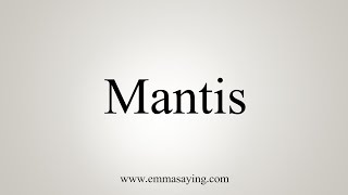 How To Say Mantis [upl. by Anaud]