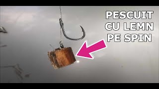 Pescuit CU BUCATA DE LEMN PE SPIN La Feeder Crap si Caras [upl. by Netsuj]