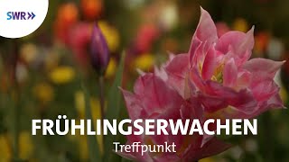 Frühlingserwachen  SWR Treffpunkt [upl. by Ajam401]