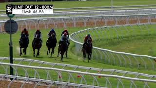 Flemington Jump Outs 15 Nov 2024 Jump Out 12 [upl. by Kassi672]