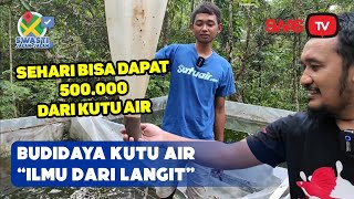 BUDIDAYA KUTU AIR ilmu dari langit [upl. by Anna-Maria]