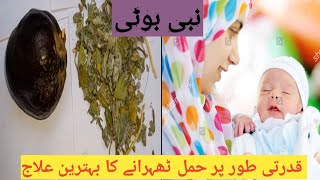 How to use nabi booti to concieve nabi booti ka istemal for pregnancy cooking with Fajar Fatima [upl. by Ahsilrae830]