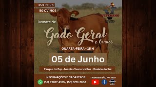 0506  Remate de Gado Geral e Ovinos 🐂🐑  15h [upl. by Adelaide]