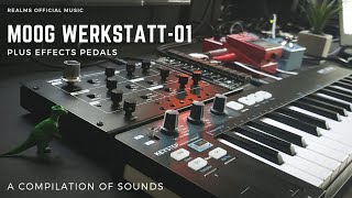 Moog Werkstatt01  A Compilation Of Sounds [upl. by Roi129]