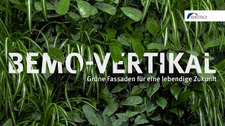 Grüne Fassaden für Architektur die atmet BEMOVERTIKAL Fassadenbegrünung [upl. by Noraa281]