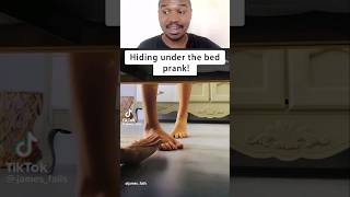 Hiding under bed prank 😅 shorts [upl. by Ashlen]