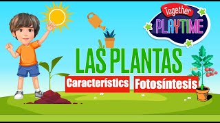 Las Plantas [upl. by Llednol]