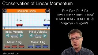 Conservation of Linear Momentum [upl. by Alitta575]