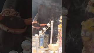 Ma ke darshan bade bhag se jai mata di short [upl. by Marisa]