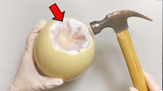 Strange Organ inside Ostrich Egg  Ostrich Egg Dissection [upl. by Naujyt]