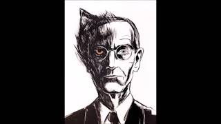 Sobre el lobo esteparioHermann Hesse [upl. by Ahseital]