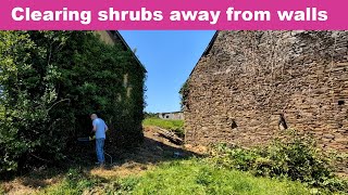 Clearing shrubs away from walls at the French farm house renovation [upl. by Nwahsal289]