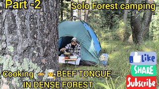 SOLO CAMPING IN DENSE FORESTS part 2🌲  COOKING BEEF TONGUE nature forests rain camping solo [upl. by Tennies940]