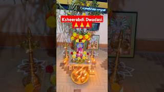 క్షీరాబ్ధి ద్వాదశి పూజా  Ksheerabdi dwadasi 2024  Chiluka dwadasi shorts festival traditional [upl. by Llednar]