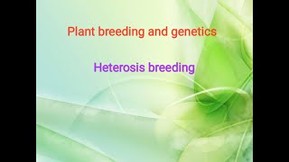 Heterosis breeding basics [upl. by Zetrauq]