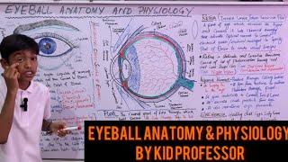 Human Eye Structure and Functions HindiUrdu Live Class on Eye Anatomy and Physiology [upl. by Kendy]