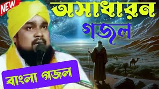 অসাধারণ গজল  জীবনী বক্তা মাওঃ আনিসুল হক মোজাদ্দেদী  Maulana Anisul hok  wwz [upl. by Adihsar]