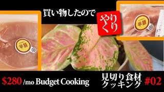 見切り品クッキング 02 鶏レバーのピリ辛ネギ和え  すいとん汁 Budget cooking 02 Chicken liver with spicy leek  Dumpling soup [upl. by Daph708]