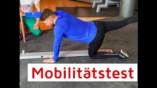 Mobilitätstest  Functional Movement Screen [upl. by Raleigh220]