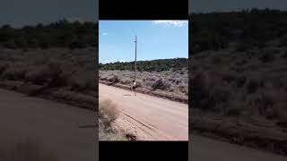 Camille Herron training in Ft Garland CO in April 2020 runningtraining ultrarunner trailrunner [upl. by Enyak]