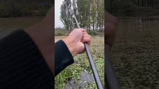 Hook Fishing with a Massive Rod – Catching Giants fishing [upl. by Giverin635]