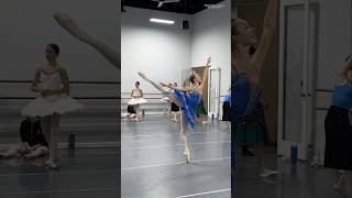 Raymonda by Lilian Rossman ballerinas ballet ballerina balletdancer dancer fyp viral [upl. by Neslund]