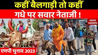 MP Election 2023 कहीं बैलगाड़ी तो कही गधे पर सवार नेताजी   Burhanpur [upl. by Fiorenza]