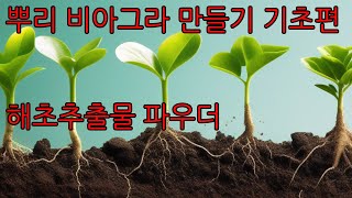 농작물 생산성 폭발 뿌리 비아그라 만들기 기초편  해초추출물 파우더 작물 뿌리를 건강하게 만드는 액비의 원재료 해조추출물 시베이지의 힘 [upl. by Ehrlich406]