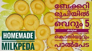 Paal peda recipe in malayalam പേട Homemade milkpeda in malayalam milk peda with milk powder [upl. by Annaerdna529]