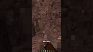 Doni Bobes trolls HIMSELF on Minecraft [upl. by Yl913]