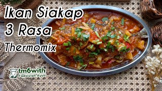 TM6 IKAN SIAKAP 3 RASA CHE NOM THERMOMIX [upl. by Pillihp]