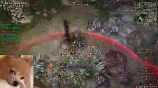 BDO Hashashin PVP Savannah 為什麼19沒有門票的真正原因 part4 [upl. by Nosdivad]