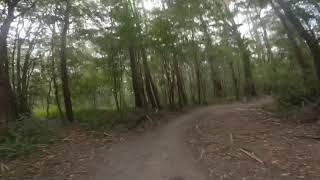 Austinmer Downhill [upl. by Ylevol]