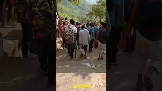 jaygiridhari girnar junagarh mela viralvideo dwarkatour shortvideo viralvideo sorts [upl. by Ardnua620]