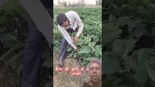 Aise kheti ki jankari aap apne ghar ya plant mein bhi kar sakte hain [upl. by Cyril]