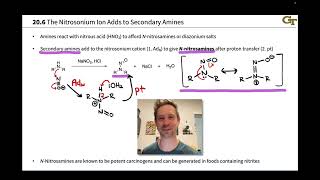 Reactions of Amines with Nitrous Acid [upl. by Ernesta331]