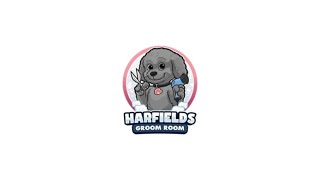 Harfields Groom Room – Dog Groomer in Curdridge [upl. by Yedoc]