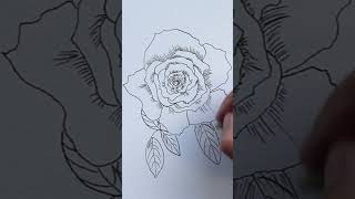 Ink amp Watercolour Rose with Brusho  Choosing background colours for your flower painting [upl. by Rodd]