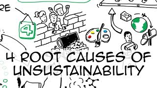 4 root causes of unsustainability [upl. by Fang]