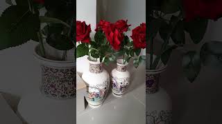 Beautiful Ceramic Flower vases shortsvideo [upl. by Elrebmik399]