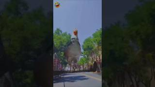 Itna bada Billi 🐈‍⬛ itna bada murga a Gaya 🐓 funny shorts statmrfanny comedy trending [upl. by Lillis]